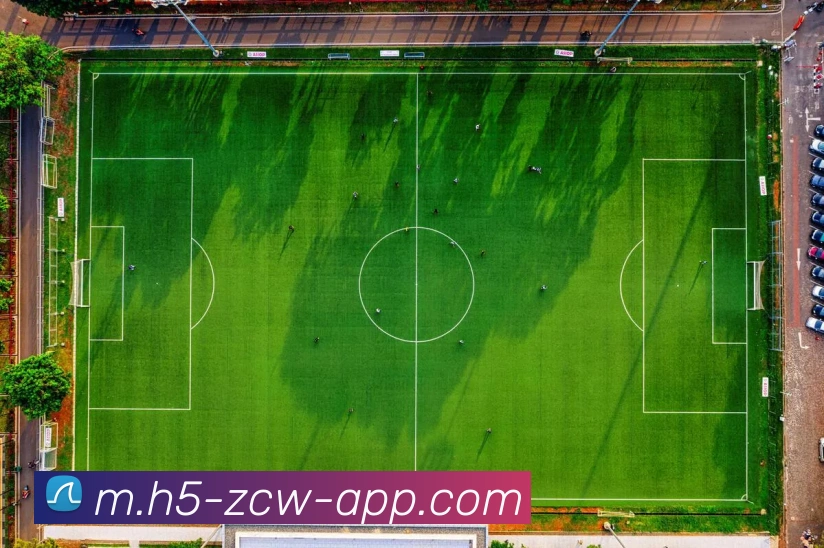 数据防护可视化